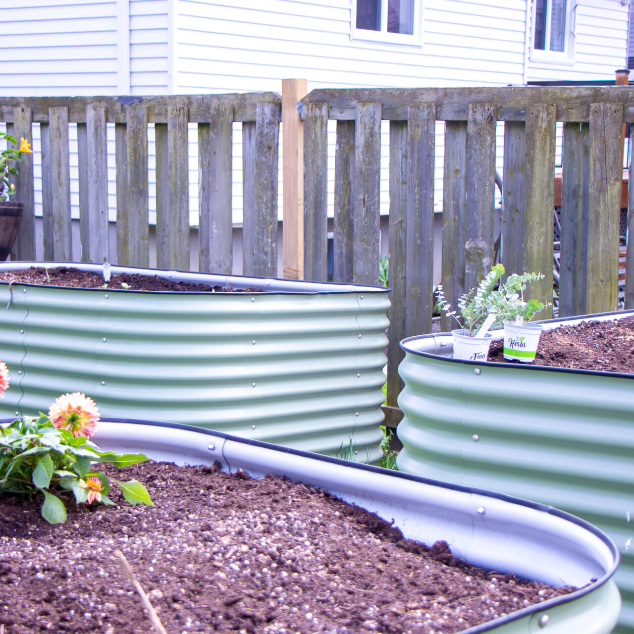 Getting Started: The Beginner's Guide to Gardening with Vego Garden Raised Beds