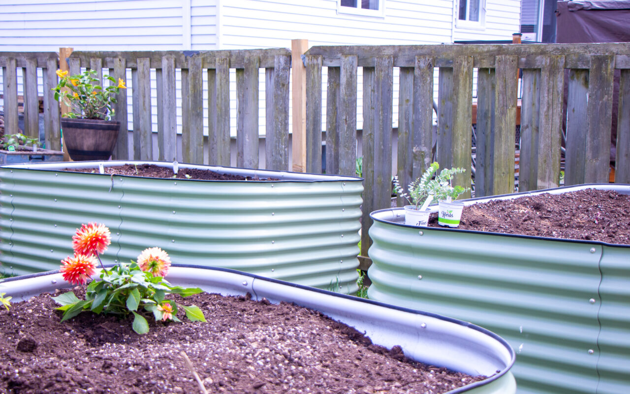 Getting Started: The Beginner's Guide to Gardening with Vego Garden Raised Beds