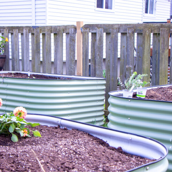 The Beginner’s Guide to Gardening with Vego Garden Metal Raised Beds