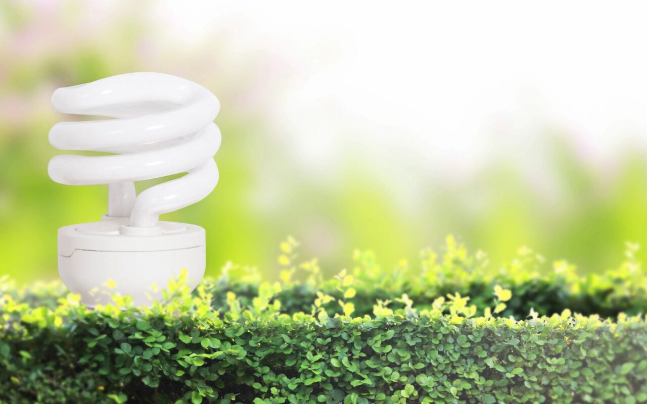 Innovative Ways to Improve Your Home's Energy Efficiency