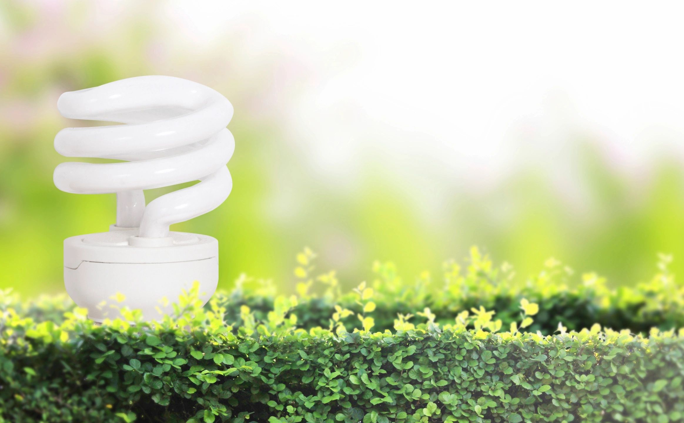 Innovative Ways to Improve Your Home's Energy Efficiency